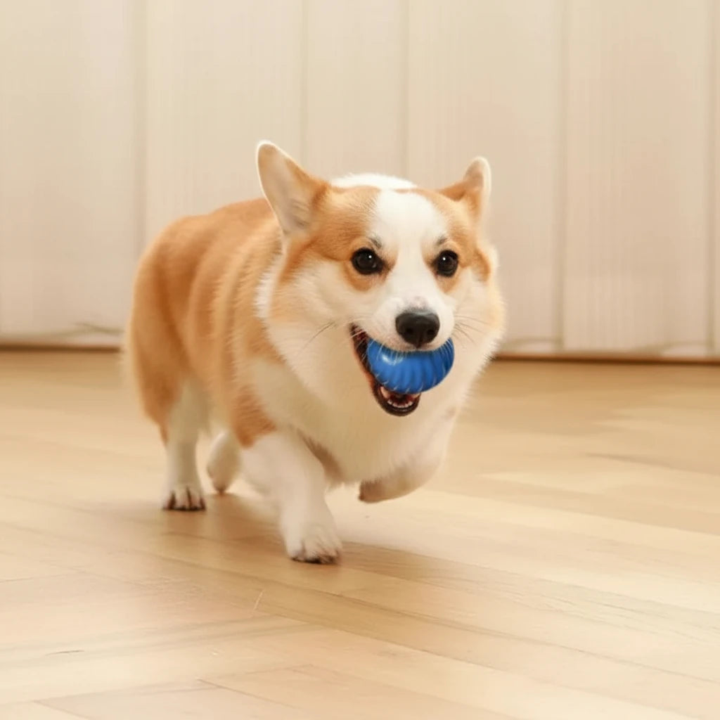Paw Motion™ Interactive Dog Ball