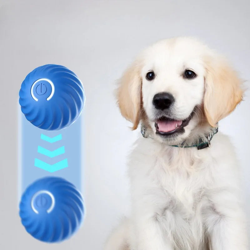 Paw Motion™ Interactive Dog Ball
