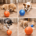 Paw Motion™ Interactive Dog Ball