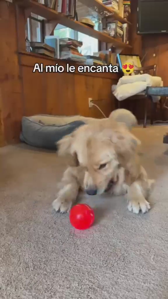 Paw Motion™ Interactive Dog Ball
